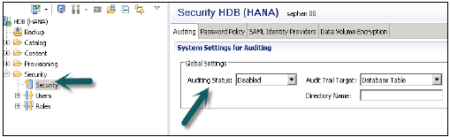 HANA激活在审计策略