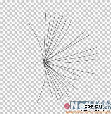 Photoshop制作逼真的风中蒲公英